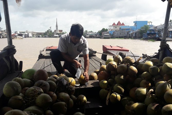 1-day Mekong Delta Tour: Cai Be Market, Local Island and Cycling - Private boat and sampan ride: the Mekong feels smaller up close