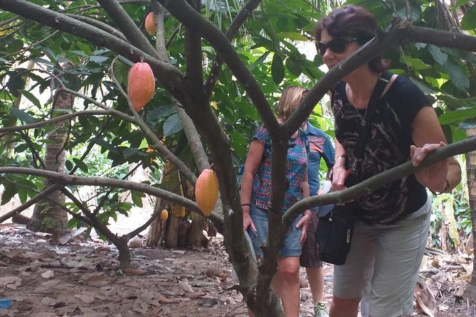 2-Day Mekong Delta with Cai Cang Floating Market from HCM City - Cai Be Floating Market + Local Crafts: Seeing Daily Trade Up Close