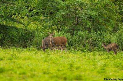 2-Day Trekking & Biking Nam Cat Tien National Park from HCM City - Cycling to Ta Lai Long House: why the bike portion matters