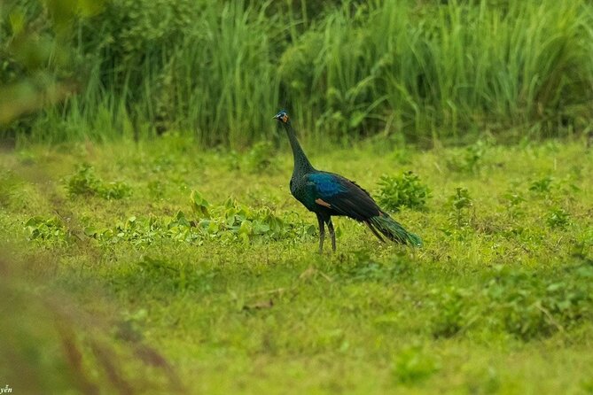 2-Day Trekking & Biking Nam Cat Tien National Park from HCM City - What to pack (and what to expect) for trekking and biking