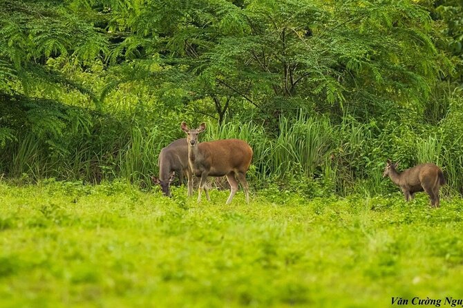 2-Day Trekking & Biking Nam Cat Tien National Park from HCM City - Cycling to Ta Lai Long House: why the bike portion matters