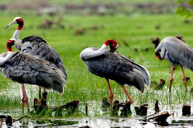 3-day group tour from Saigon to Phnom Penh - Mekong Delta in three days: what you gain