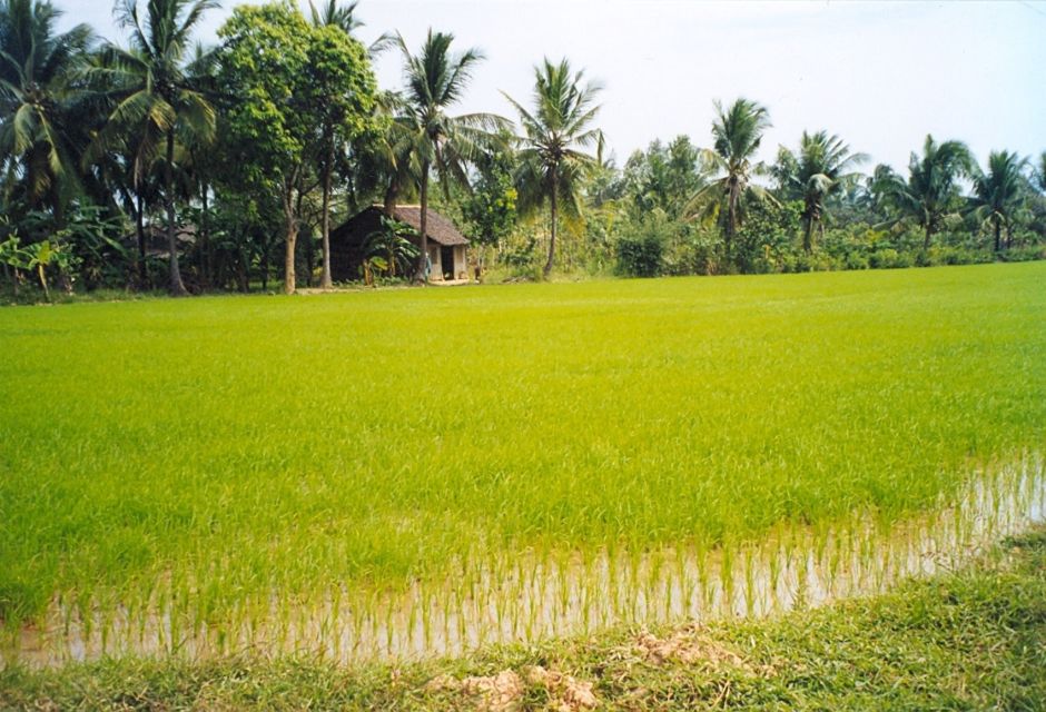 A Day Tour to Cu Chi Tunnels and Mekong Delta - Who This Tour Fits Best (and Who Might Want a Different Day)