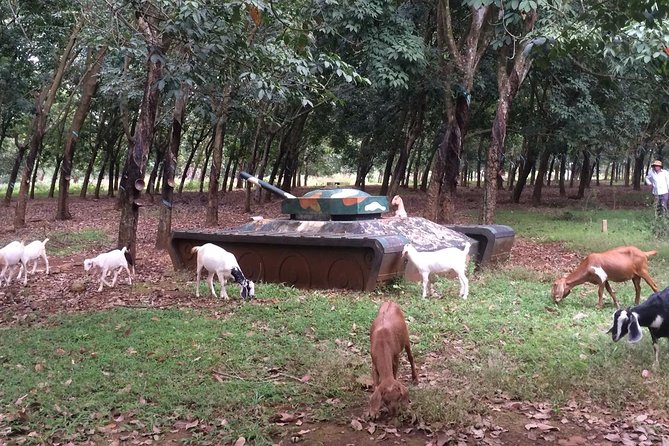 Australian Base, Long Tan & Nui Dat Tour with Vung Tau Beach - Price, timing, and comfort: what you’re really paying for