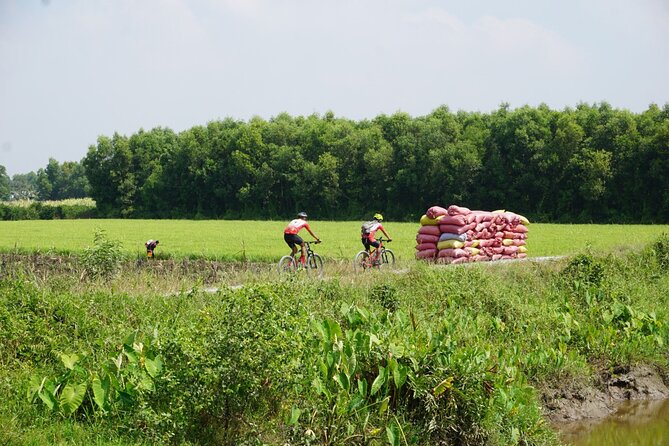 Bike And Boat Mekong Delta Cycling Tour - Why This Mekong Delta Bike-and-Boat Day Works So Well