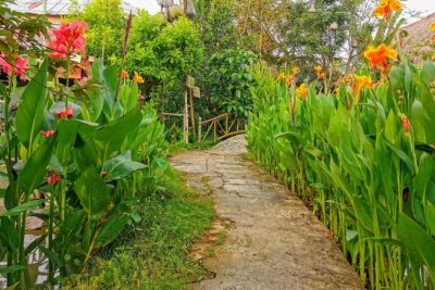 Cai Be Village - One-Day Mekong Delta Adventure - Rice paper, honey farms, and water-hyacinth crafts: the real “why”