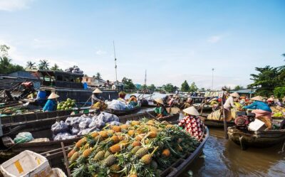 Cai Rang Floating Market & Mekong Delta Private 1-Day Tour - Inside Cai Rang: boats, trading, and a vermicelli how-it’s-made moment