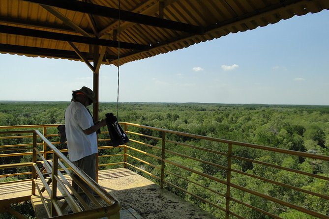 Can Gio Mangrove Eco And Wildlife Discovery Tour - Can Gio: Wildlife plus war-history context, not either-or