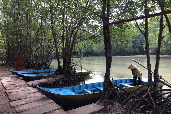 Can Gio Mangrove Eco And Wildlife Discovery Tour - Monkey Island and the museum: learn mangroves before you look for animals