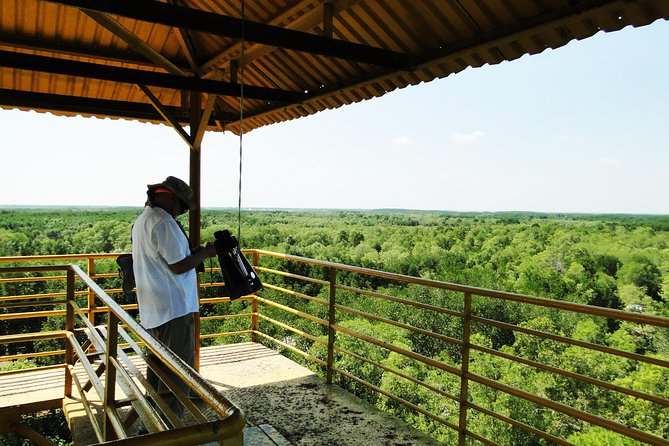 Can Gio Mangrove Eco And Wildlife Discovery Tour - Price and value: what $169 buys you (and who might think it’s too much)