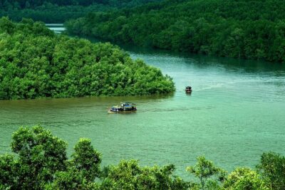 Can Gio Mangrove Forest 1 day tour - Dan Xay bridge pier stop: sugar-cane juice and an easy reset