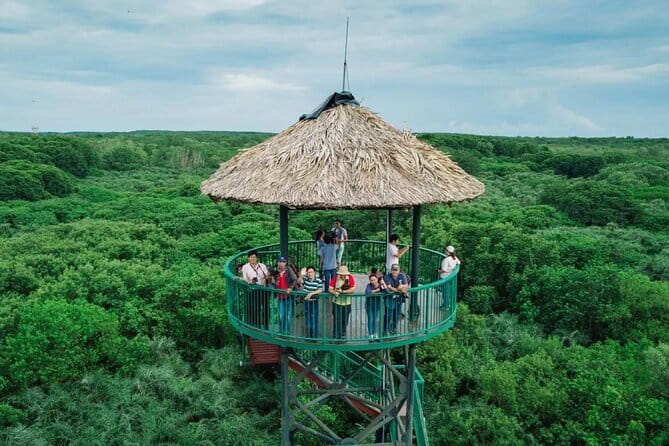Can Gio Mangrove Forest Island Private Tour From Ho Chi Minh City - Mangrove jungle walks: what you’re really seeing on the trail