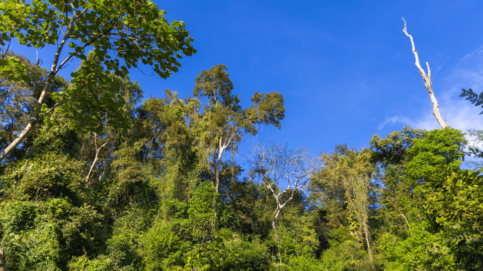 Cat Tien National Park with Crocodile Lake - Quick highlights you’ll care about