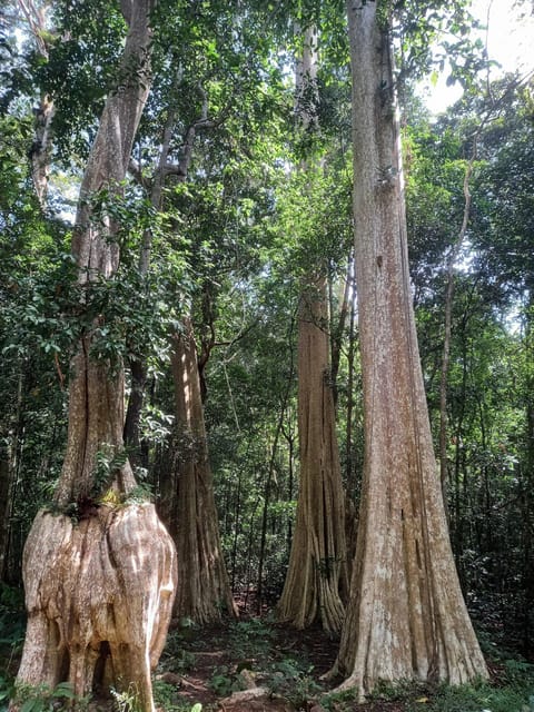 Cat Tien National Park with Crocodile Lake - Getting around and pacing: how hard is this 2-day plan really?