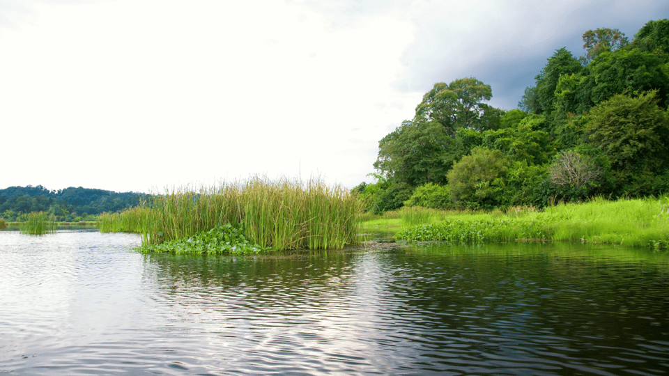 Cat Tien National Park with Crocodile Lake - Who should book this Cat Tien tour (and who should skip it)