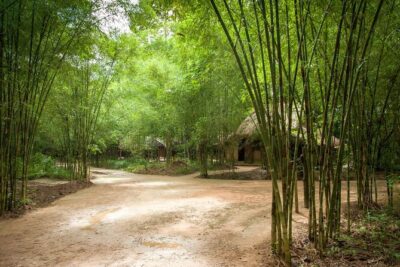 Cu Chi Tunnel Half Day - Small Group Tour - A Real Small Group Feel (Premium max 12)