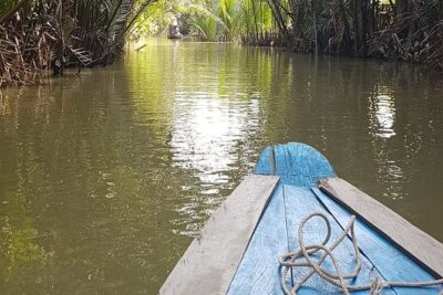 Cu Chi Tunnels - Mekong Delta Full Day Tours - Getting picked up in District 1 and how the day flows
