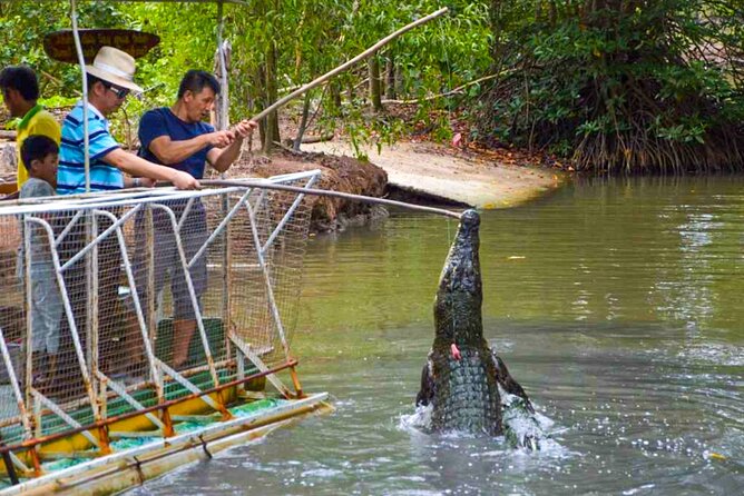 Explore Monkey Islands and Gio Mangrove Forest From Ho Chi Minh - Monkey Island: A Wildlife Moment That Feels Unscripted