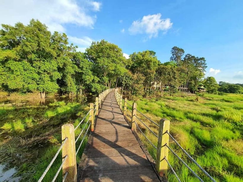 From HCM: Cat Tien Park Jungle Day Trip with Optional 2D1N - Cat Tien National Park jungle trek: ancient trees and a real sense of scale