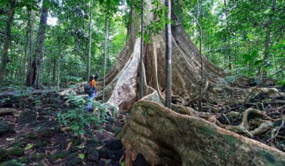 From HCM: Cat Tien Park Jungle Day Trip with Optional 2D1N - Tà Lài Cocoa Garden: chocolate you can connect to the land
