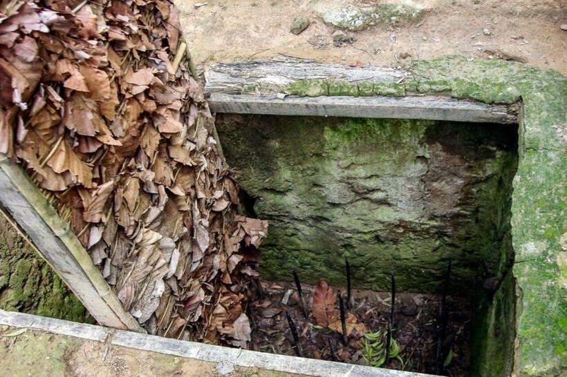 From HCM City: Visit Cu Chi Tunnels With A Small Group - Leaves, Camouflage, and the Logic of Hideouts