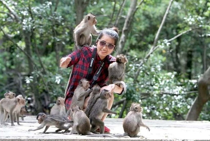 From Ho Chi Minh: Can Gio Monkey Island & Mangrove Tour - From Ho Chi Minh City to Can Gio: the ride that sets the tone