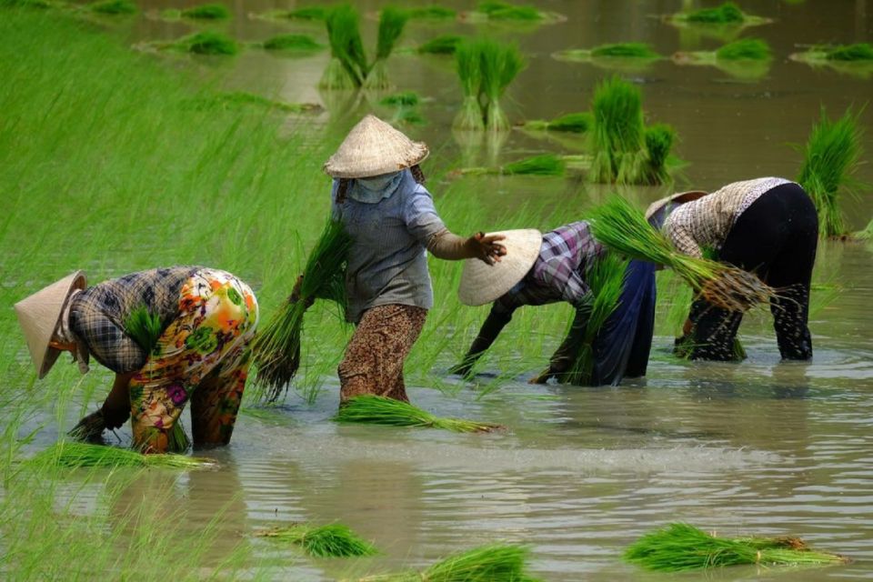 From Ho Chi Minh City: Mekong Delta Full-Day Private Tour - From Ho Chi Minh City to the Cai Be countryside