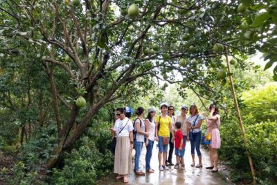 From Ho Chi Minh: Full-Day Mekong Delta Tour to My Tho & Ben Tre - My Tho and the Boat Cruise: Where the Day Starts Moving