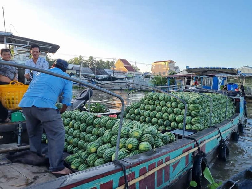 From Ho Chi Minh: Mekong & Cai Rang Floating Market 2D1N - Cai Rang Floating Market: Boat Time, Noodles, and Reality Checks
