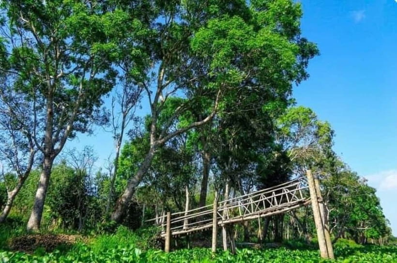 From Ho Chi Minh: Mekong Delta 3-Day Tour with Tra Su Forest - Trà Sư Mangrove Forest: the boat ride that people remember