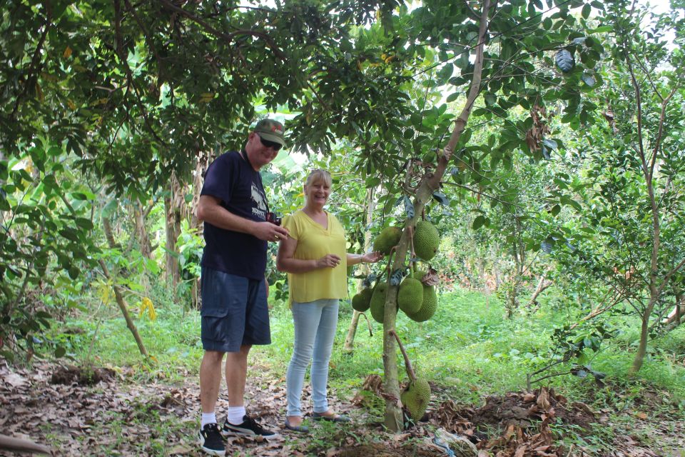 From Ho Chi Minh: Mekong Delta Private Day Tour - Honey bee farm and honey tea with lemon