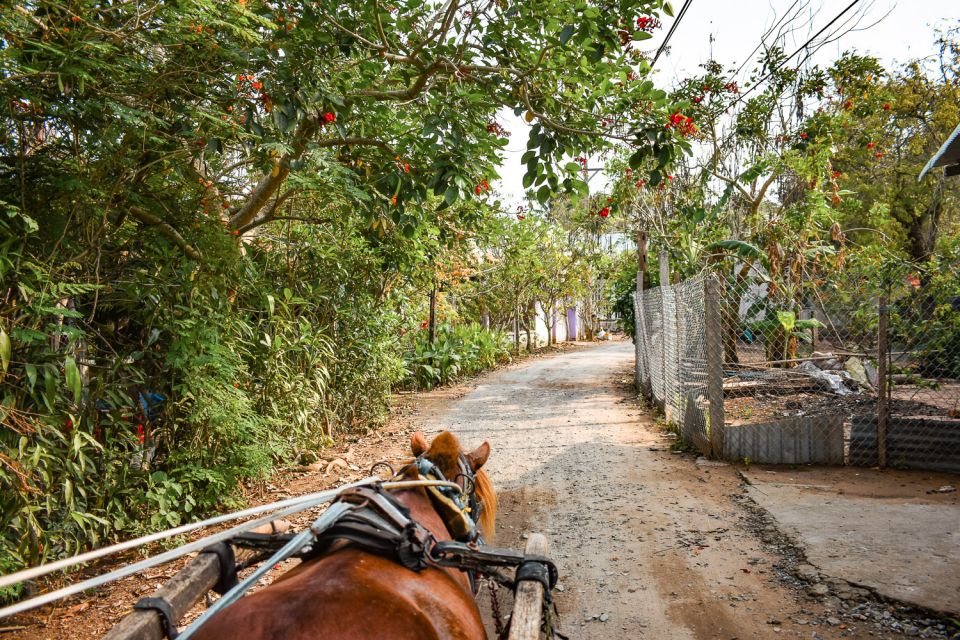 From Ho Chi Minh: Mekong Delta Private Day Tour - Electric car and village travel: a practical way to cover ground