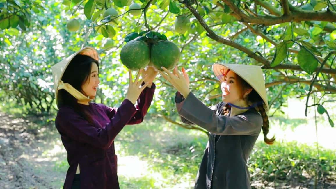 From Ho Chi Minh: Mekong Delta Tour to My Tho & Ben Tre 1Day - After Lunch on Cù Lao Thới Sơn: Hammocks, Walks, and Bike Time