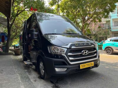 From Ho Chi Minh: Mekong Delta Tour| Vip Limousine Option - Getting to Mỹ Tho in comfort: your transport choice matters