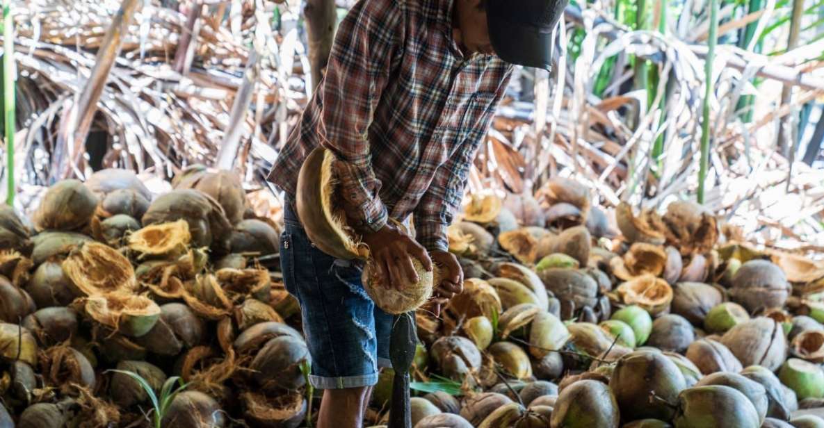 From Ho Chi Minh: Mekong Delta with Ben Tre 1 Day Tour - Key highlights to know before you go