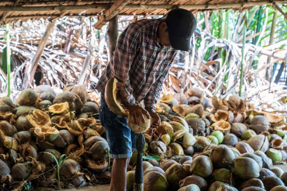 From Ho Chi Minh: Mekong Delta with Ben Tre 1 Day Tour - Saigon to Ben Tre: an 8-hour loop built for the Mekong rhythm