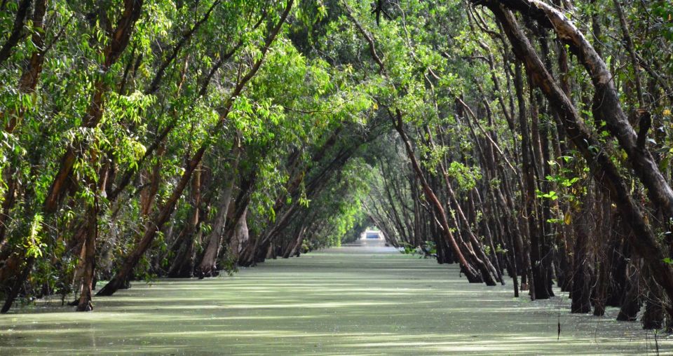 From Ho Chi Minh: Three-Day Mekong Delta Tour - Day 2: Floating village, Vinh Te canal houses-on-stilts, Ba Chua Xu, and Tra Su birds