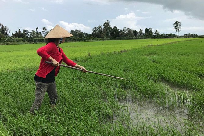 FULL Day - CAI RANG FLOATING MARKET, COOKING CLASS AND EXPLORE THE COUNTRYSIDE - Market shopping first, then cooking class at a family home
