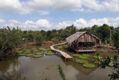 Full-day Cai Rang floating market - explore countryside, make bakery - from HCM - Rice noodle and pho factory: watching your breakfast get made