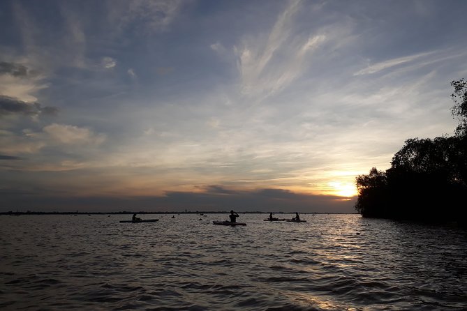 Full Day Experience Mekong River Life By Kayak & Boat. - Key highlights to look for