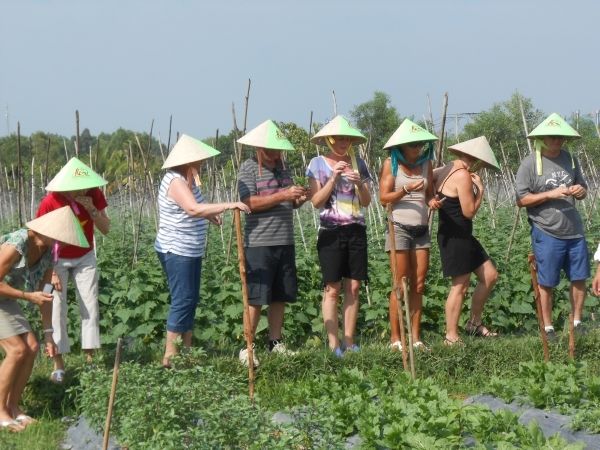Full-Day Farming & Cooking class at Agricultural Village - What You’ll Remember Most
