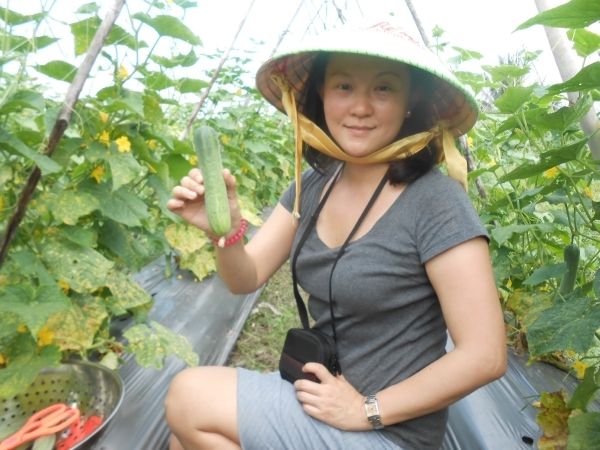 Full-Day Farming & Cooking class at Agricultural Village - Cattle, Vegetable Beds, and the Farming Life You Can Actually See