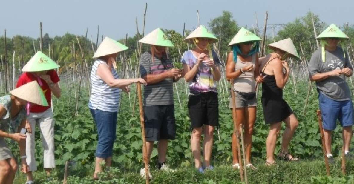Full-Day Farming & Cooking class at Agricultural Village - Getting From Ho Chi Minh City to Cu Chi’s Agricultural Villages
