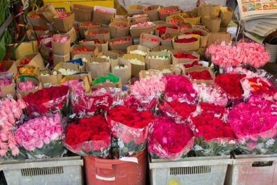 Half-Day Private Motorbike Tour in Saigon - Ho Thi Ki flower market on Hồ Thị Kỷ: the smell-and-color intermission