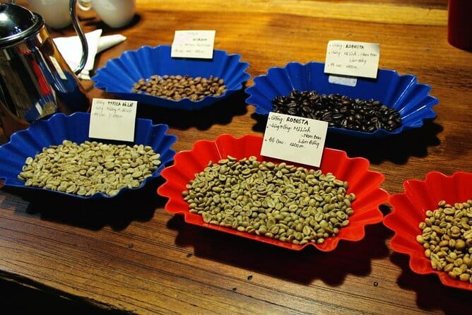 Hands-on making 3 Iconic Coffees of South Central North Vietnam - Meeting Quynh in District 1: A small workshop with a friendly pace