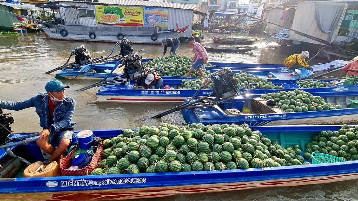 HCMC: Mekong Delta 2-Days My Tho–Ben Tre & Cai Rang Market - Cai Rang Floating Market at Dawn: The Most Photogenic Part of the Trip