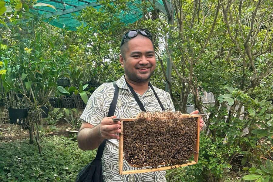 Ho Chi Minh: Adventurous Mekong Delta Full Day Tour - Price and Value: Why $26 Can Still Be a Good Deal