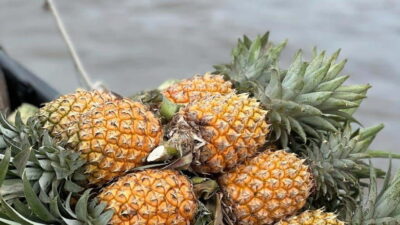 Ho Chi Minh: Authentic boat trip - Cai Rang Floating Market - The 2:30 AM pickup: sunrise on the Mekong is the whole point