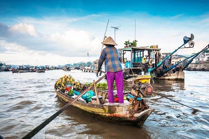 Ho Chi Minh: Best Price Should Visit Mekong Delta - Booking decision: should you book this Mekong Delta day tour?