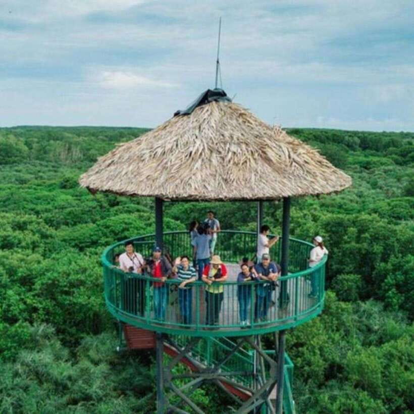 Ho Chi Minh: Can Gio Mangrove and Monkey Island - Quick takeaways before you go